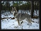 Skadi 20 * 707 x 528 * (119KB)